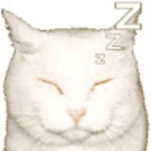 Meet your Posher, Sofia